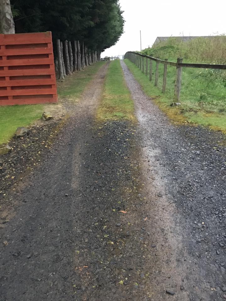 Natural Looking Surface Dressed Driveway in St. Boswells
