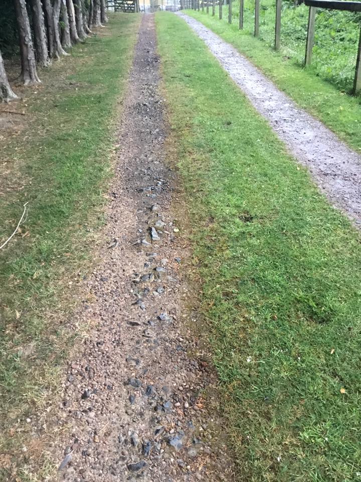 Natural Looking Surface Dressed Driveway in St. Boswells