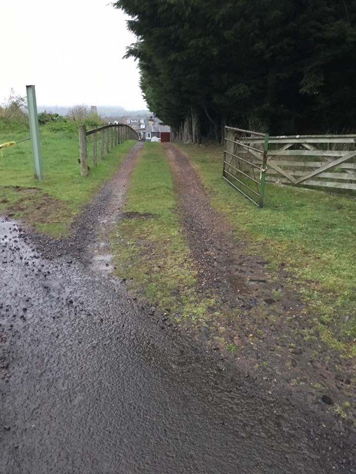 Natural Looking Surface Dressed Driveway in St. Boswells