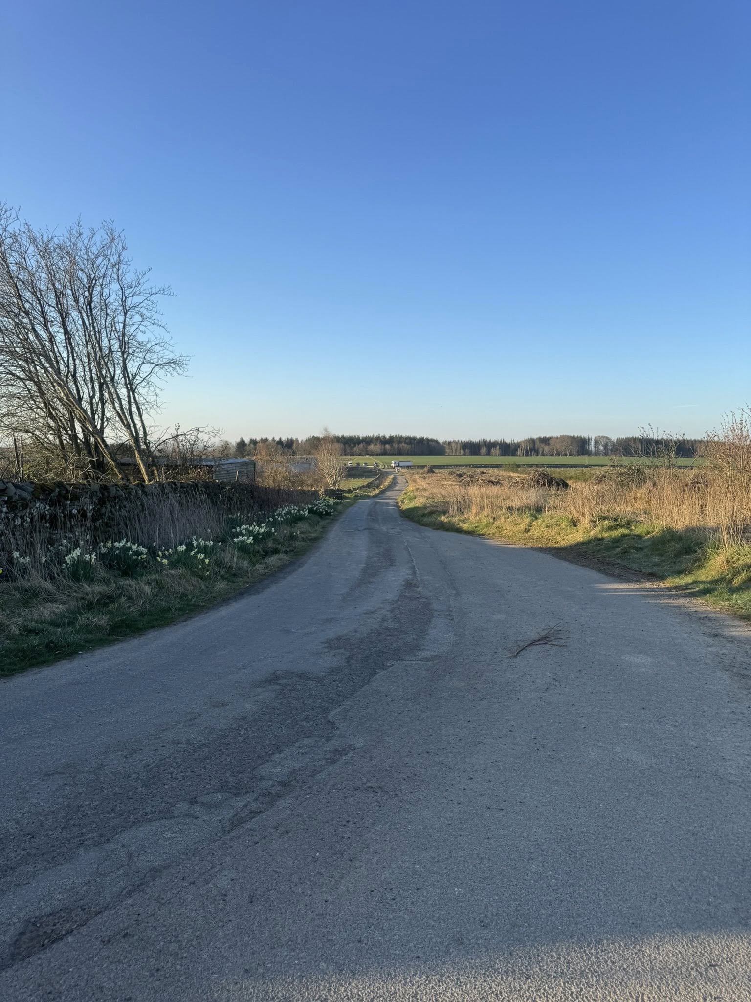 Road Construction Contractor - Scottish Borders