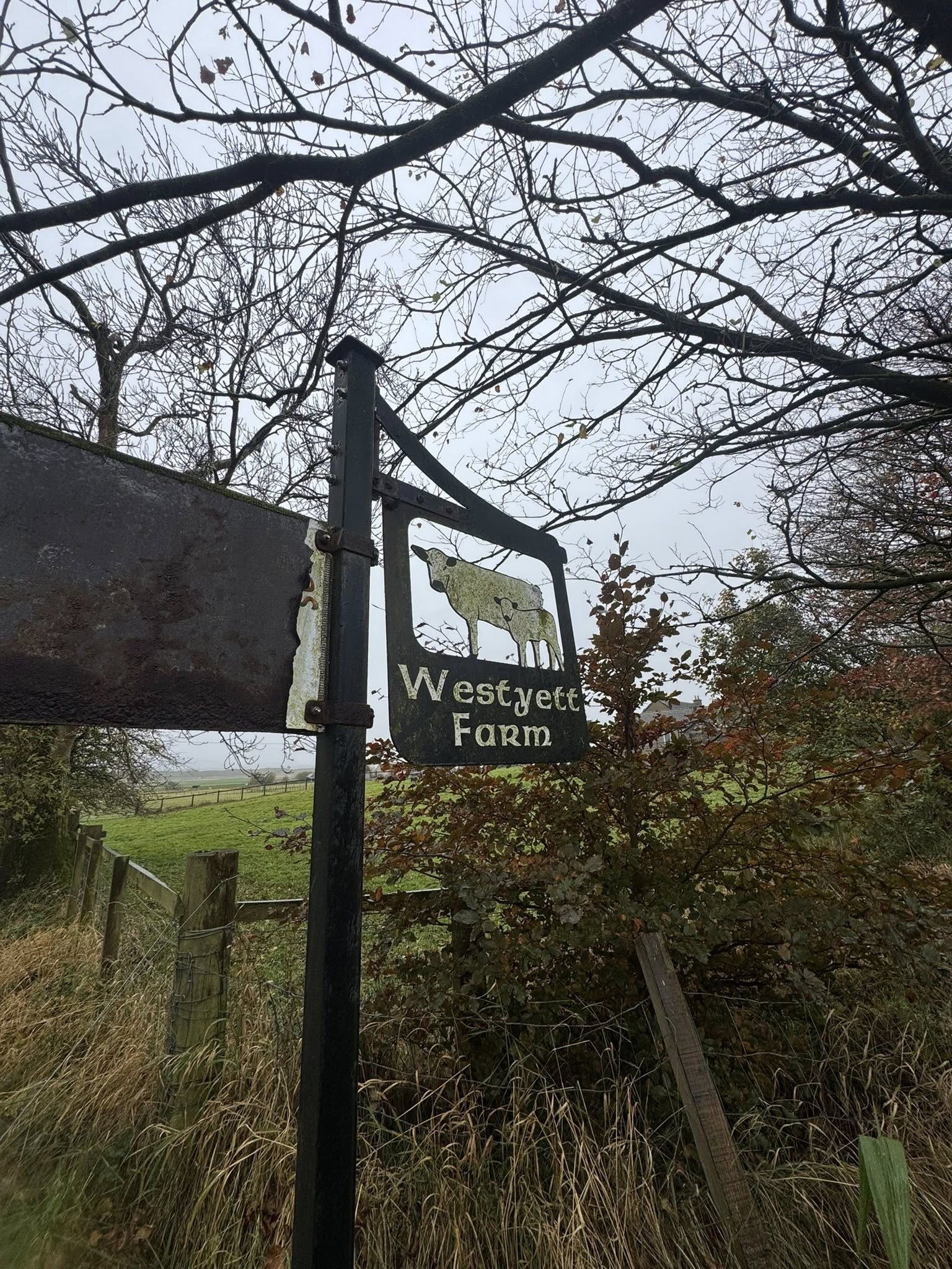 Tarmac Farm Road, Courtyard - Lanarkshire