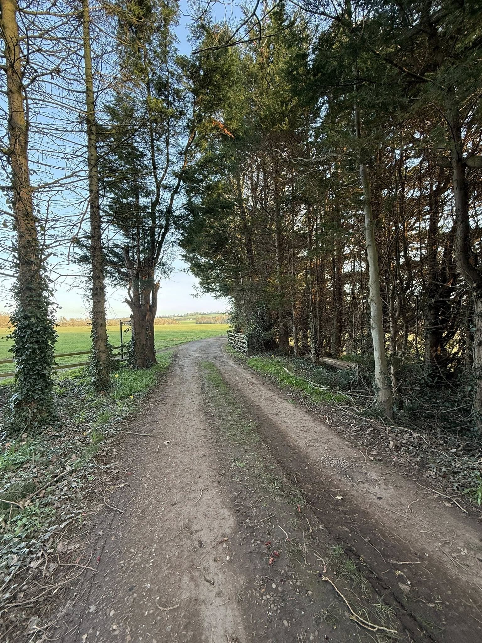 Dirt to Tarmac Driveway Transformation - East Linton